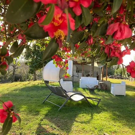 Selva - Piemonte * Agrate Conturbia