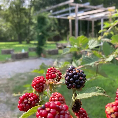 Selva - Piemonte Apartamento