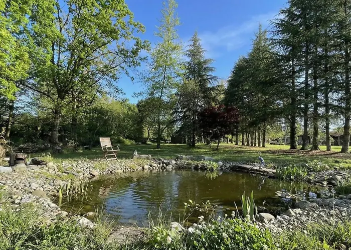 Selva - Piemonte